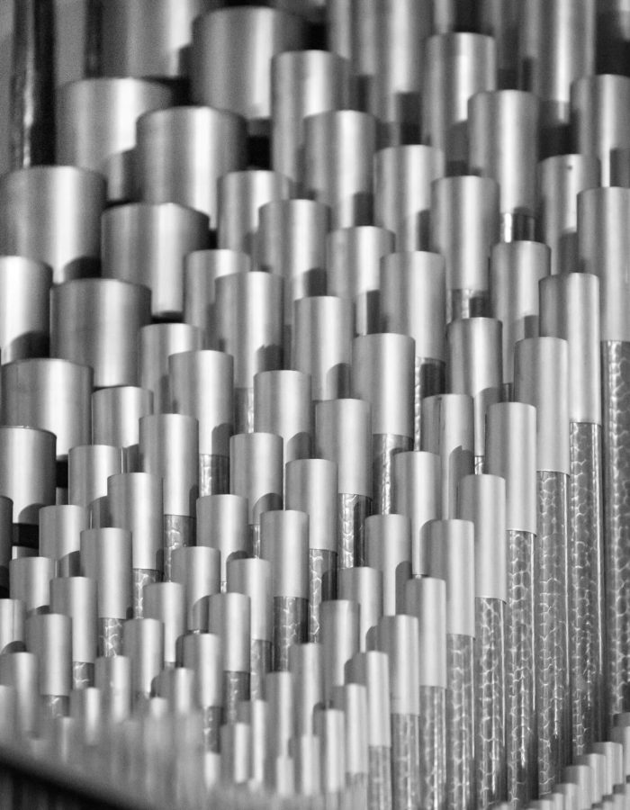 rafik-wahba-W4gQtCkK1F0-unsplash (1)